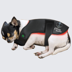 PBM Pet coat