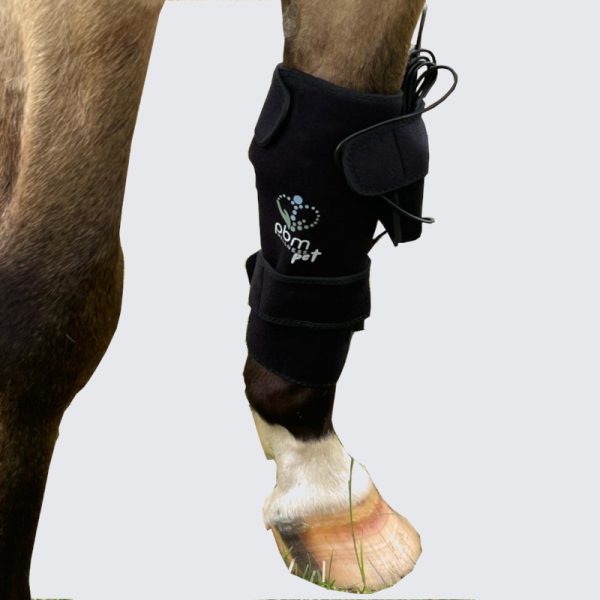 PBM Horse Leg