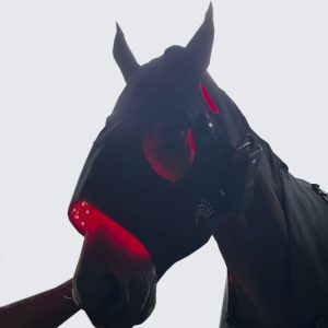 PBM Horse face cap